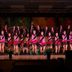 Carnavalsstichting De Kei 17-01-2026 Zwetsavond