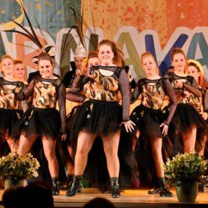 Carnavalsstichting De Kei 17-01-2026 Zwetsavond