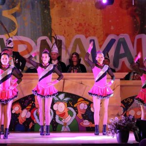 Carnavalsstichting De Kei 25-01-2026 Lijsselse Middig