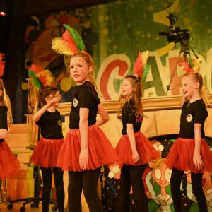 Carnavalsstichting De Kei 12-01-2025 Prinsreceptie Prins Twan d’n Uurste