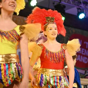 Carnavalsstichting De Kei 25-01-2025 Zwetsavond