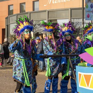 Carnavalsstichting De Kei 02-03-2025 Optocht