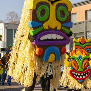 Carnavalsstichting De Kei 02-03-2025 Optocht