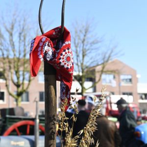 Carnavalsstichting De Kei 04-03-2025 Boerenbruiloft